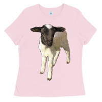 Bubblegum Pink dorper baby sheep Ladies Tee - LillyAllenDesigns