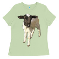 Matcha dorper baby sheep Ladies Tee - LillyAllenDesigns