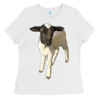 White dorper baby sheep Ladies Tee - LillyAllenDesigns