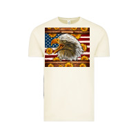 Vintage Arctic American Flag Eagle Tumbler Vintage Tee - LillyAllenDesigns