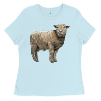 Baby Blue southdown sheep Ladies Tee - LillyAllenDesigns