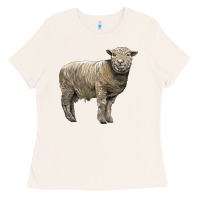 Bone southdown sheep Ladies Tee - LillyAllenDesigns
