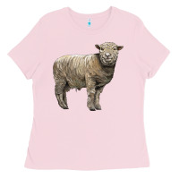 Southdown Sheep Ladies Tee | Teevron