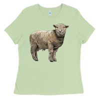 Matcha southdown sheep Ladies Tee - LillyAllenDesigns