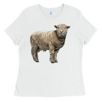 White southdown sheep Ladies Tee - LillyAllenDesigns