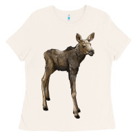 Bone moose fawn deer Ladies Tee - LillyAllenDesigns