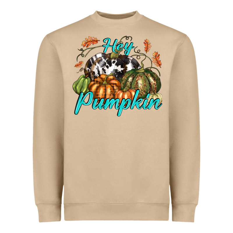 Hey Pumpkin Heavyweight Sweatshirt by texasbilliewilder | Teevron