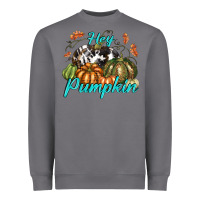 Storm Hey Pumpkin Heavyweight Sweatshirt - texasbilliewilder