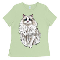 Matcha Ragdoll Cat Ladies Tee - LillyAllenDesigns