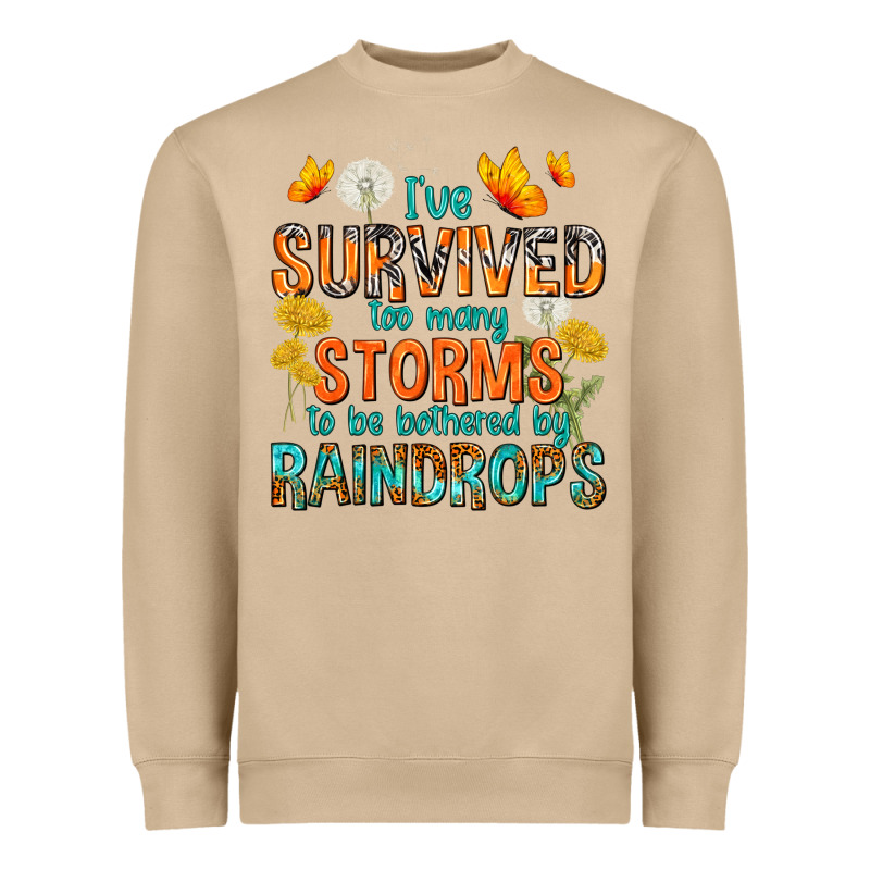 I've Survived Too Many Storms Heavyweight Sweatshirt by texasbilliewilder | Teevron