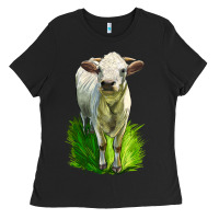Black Charolais Heifer Ladies Tee - LillyAllenDesigns