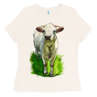 Bone Charolais Heifer Ladies Tee - LillyAllenDesigns