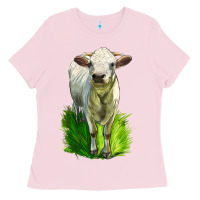 Bubblegum Pink Charolais Heifer Ladies Tee - LillyAllenDesigns