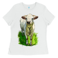 White Charolais Heifer Ladies Tee - LillyAllenDesigns