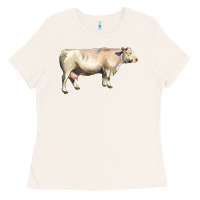 Bone charolais cattle Ladies Tee - LillyAllenDesigns