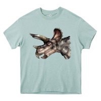 Arona Triceratops Horridus Face Heavy Core Tee - LillyAllenDesigns