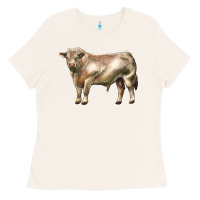 Bone charolais bull Ladies Tee - LillyAllenDesigns