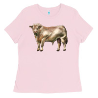 Bubblegum Pink charolais bull Ladies Tee - LillyAllenDesigns