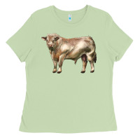 Matcha charolais bull Ladies Tee - LillyAllenDesigns