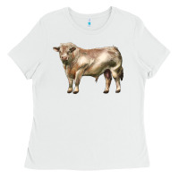 White charolais bull Ladies Tee - LillyAllenDesigns