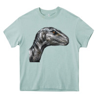 Arona Velociraptor Face Heavy Core Tee - LillyAllenDesigns