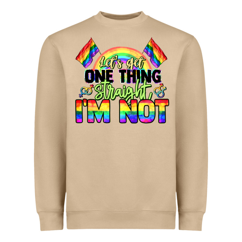 Let's Get One Thing Straight I'm Not Pride Lgbtq+ Heavyweight Sweatshirt by NancyCooperArtShop | Teevron