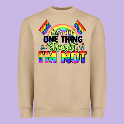 Let's Get One Thing Straight I'm Not Pride Lgbtq+ Heavyweight Sweatshirt Designed By Nancycooperartshop