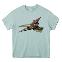 Arona Pteranodon Face Heavy Core Tee - LillyAllenDesigns