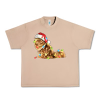 Burro christmas persian cat Urban Heavy Tee - LillyAllenDesigns