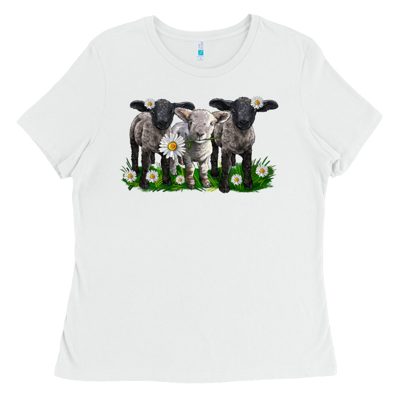 Baby Sheeps With Daisies Ladies Tee by LillyAllenDesigns | Teevron
