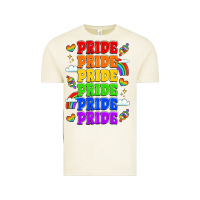 Vintage Arctic rainbow pride celebration Vintage Tee - LillyAllenDesigns
