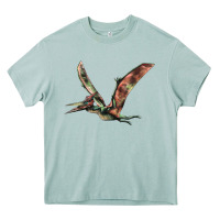 Arona Pteranodon Heavy Core Tee - LillyAllenDesigns