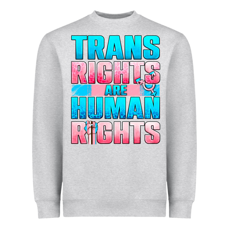 Trans Rights Are Human Rights Heavyweight Sweatshirt by NancyCooperArtShop | Teevron