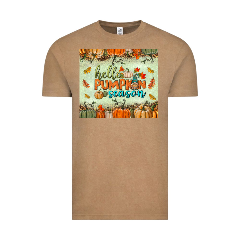 Hello Pumpkin Season Tumbler Vintage Tee by BundleAndBundleShop | Teevron