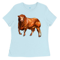 Baby Blue red angus bull Ladies Tee - LillyAllenDesigns