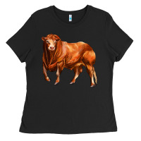 Black red angus bull Ladies Tee - LillyAllenDesigns