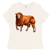 Bone red angus bull Ladies Tee - LillyAllenDesigns