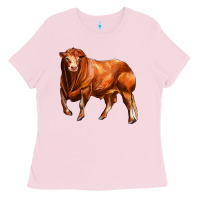 Bubblegum Pink red angus bull Ladies Tee - LillyAllenDesigns
