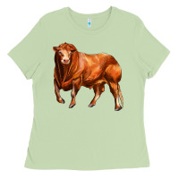 Matcha red angus bull Ladies Tee - LillyAllenDesigns