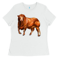 White red angus bull Ladies Tee - LillyAllenDesigns