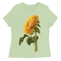 Matcha teddy bear sunflower Ladies Tee - LillyAllenDesigns