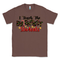 Chestnut I Teach The Brightest Students Classic Tee - LillyAllenDesigns