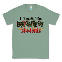 Sage I Teach The Brightest Students Classic Tee - LillyAllenDesigns