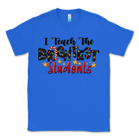 True Royal I Teach The Brightest Students Classic Tee - LillyAllenDesigns