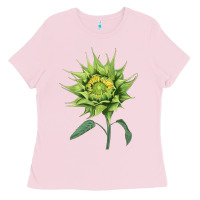 Bubblegum Pink sun fill green green sunflower Ladies Tee - LillyAllenDesigns