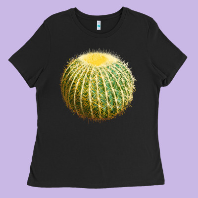 Golden Barrel Cactus Ladies Tee Designed By Lillyallendesigns