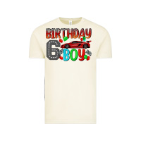 Vintage Arctic birthday boy 6 Vintage Tee - BundleAndBundleShop