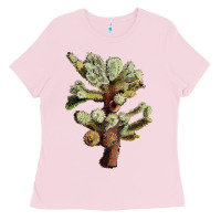Bubblegum Pink cholla tree cactus Ladies Tee - LillyAllenDesigns