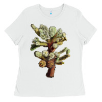 White cholla tree cactus Ladies Tee - LillyAllenDesigns