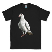 Black Dove Classic Tee - LillyAllenDesigns